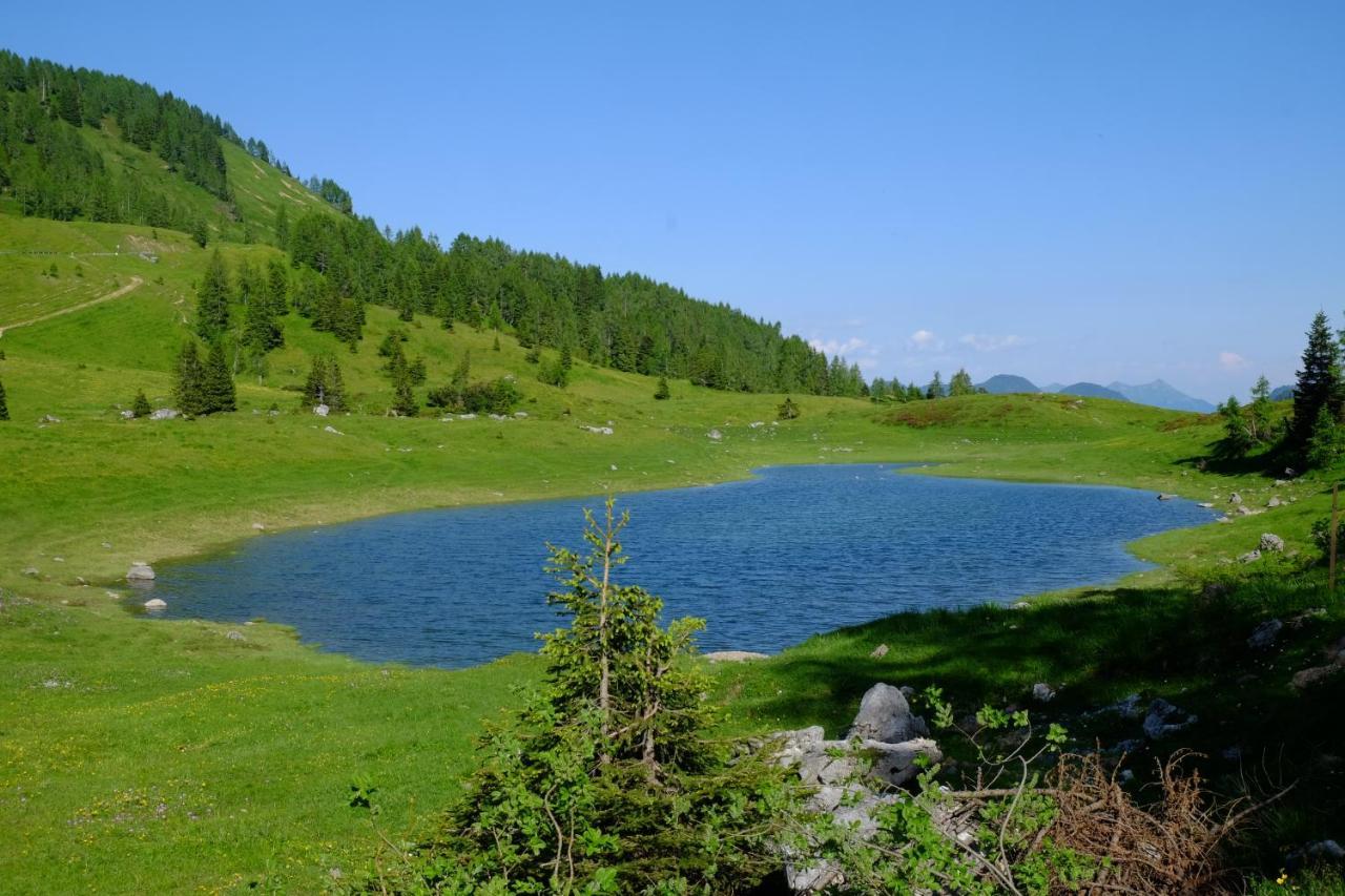 Casa Della Rosa Dolomites Experience Hotel Vigo di Cadore Luaran gambar